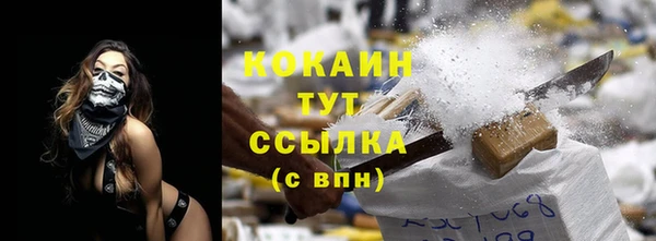 индика Абинск
