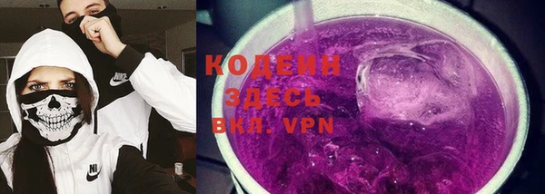 индика Абинск
