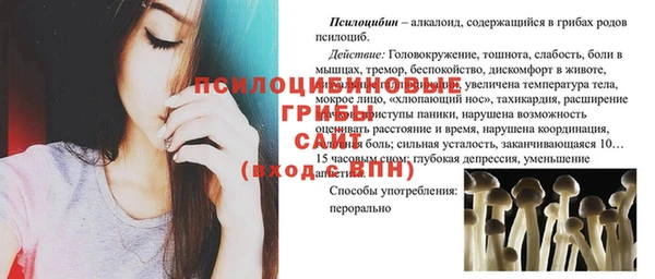 индика Абинск