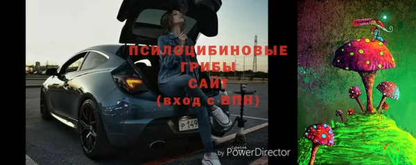 индика Абинск
