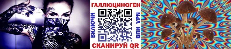 где купить   Ессентукская  ссылка на мегу маркетплейс  Галлюциногенные грибы мухоморы 